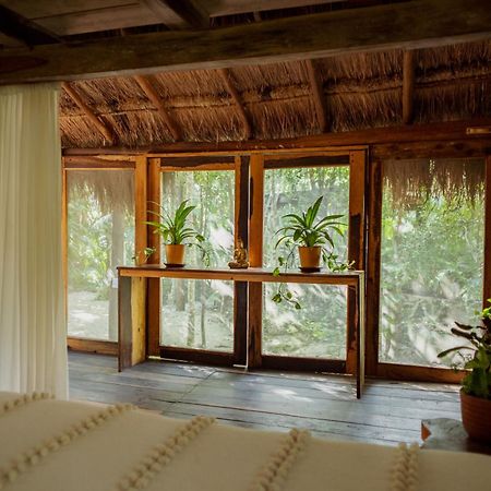 Penzion Madre Tierra Eco Habitat Puerto Morelos Exteriér fotografie