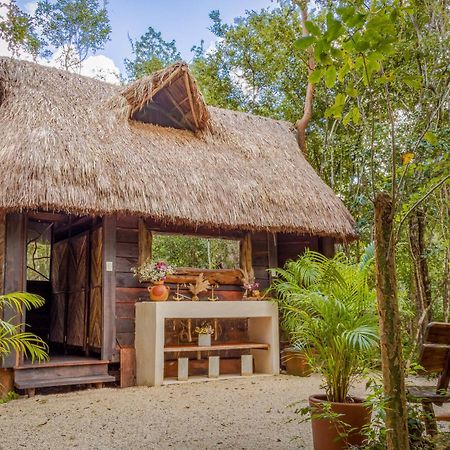 Penzion Madre Tierra Eco Habitat Puerto Morelos Exteriér fotografie
