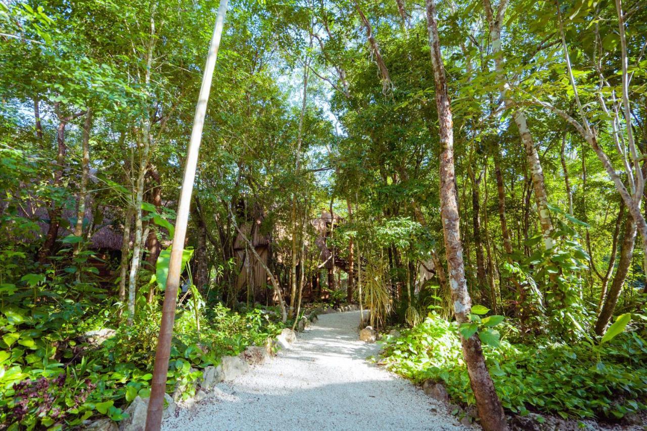 Penzion Madre Tierra Eco Habitat Puerto Morelos Exteriér fotografie