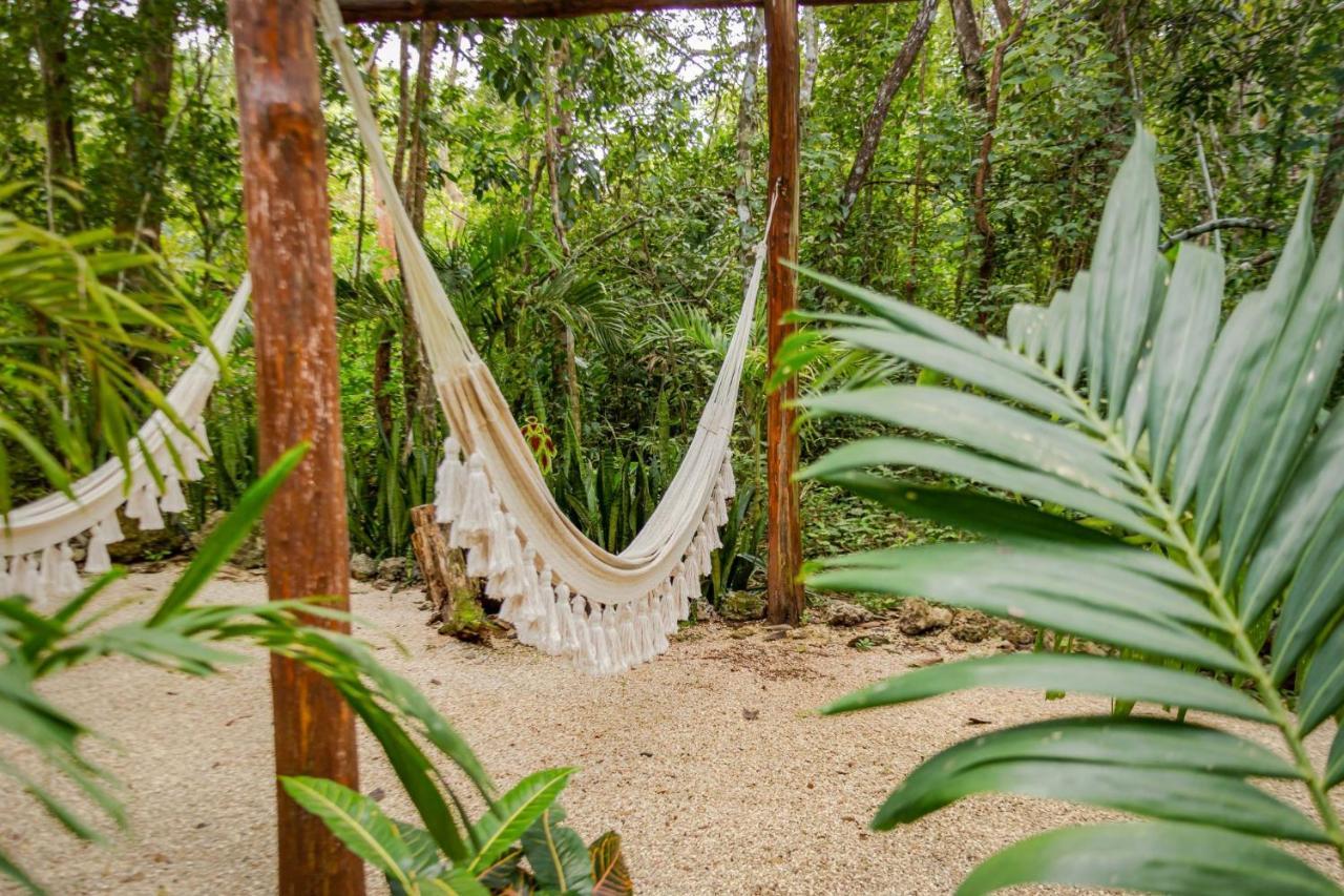 Penzion Madre Tierra Eco Habitat Puerto Morelos Exteriér fotografie
