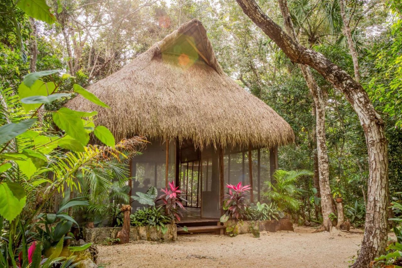Penzion Madre Tierra Eco Habitat Puerto Morelos Exteriér fotografie