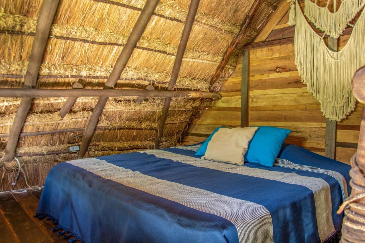 Penzion Madre Tierra Eco Habitat Puerto Morelos Exteriér fotografie