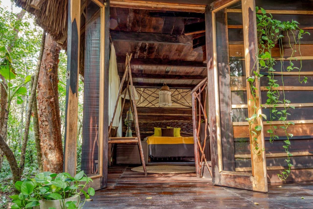 Penzion Madre Tierra Eco Habitat Puerto Morelos Exteriér fotografie