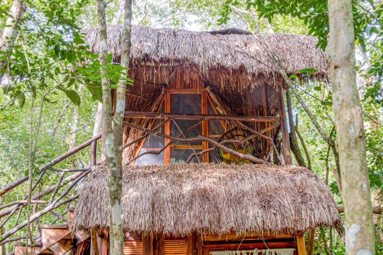 Penzion Madre Tierra Eco Habitat Puerto Morelos Exteriér fotografie