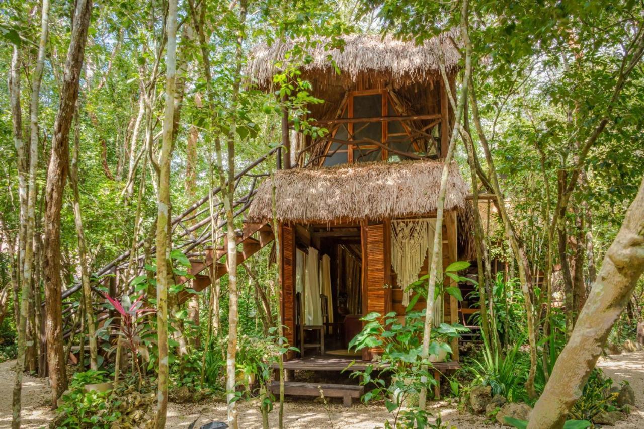 Penzion Madre Tierra Eco Habitat Puerto Morelos Exteriér fotografie