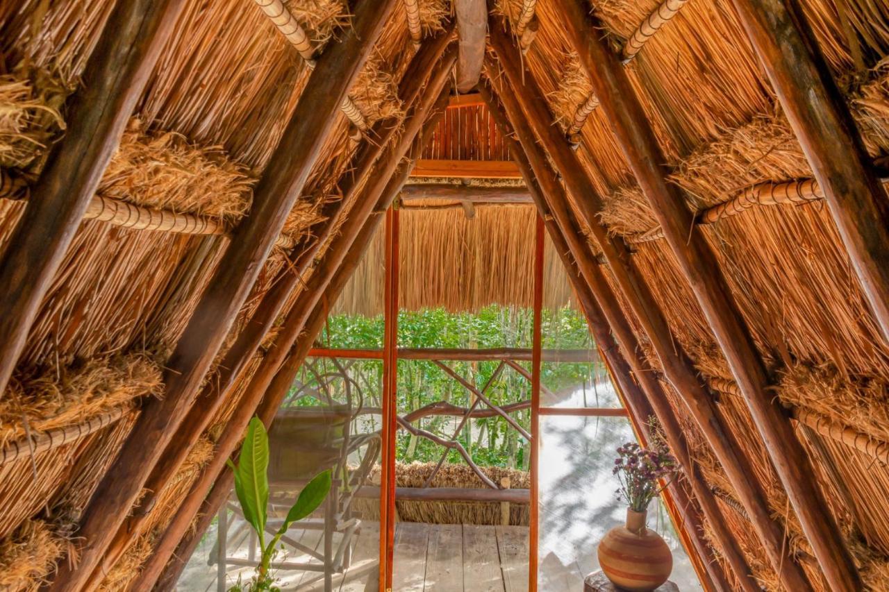 Penzion Madre Tierra Eco Habitat Puerto Morelos Exteriér fotografie