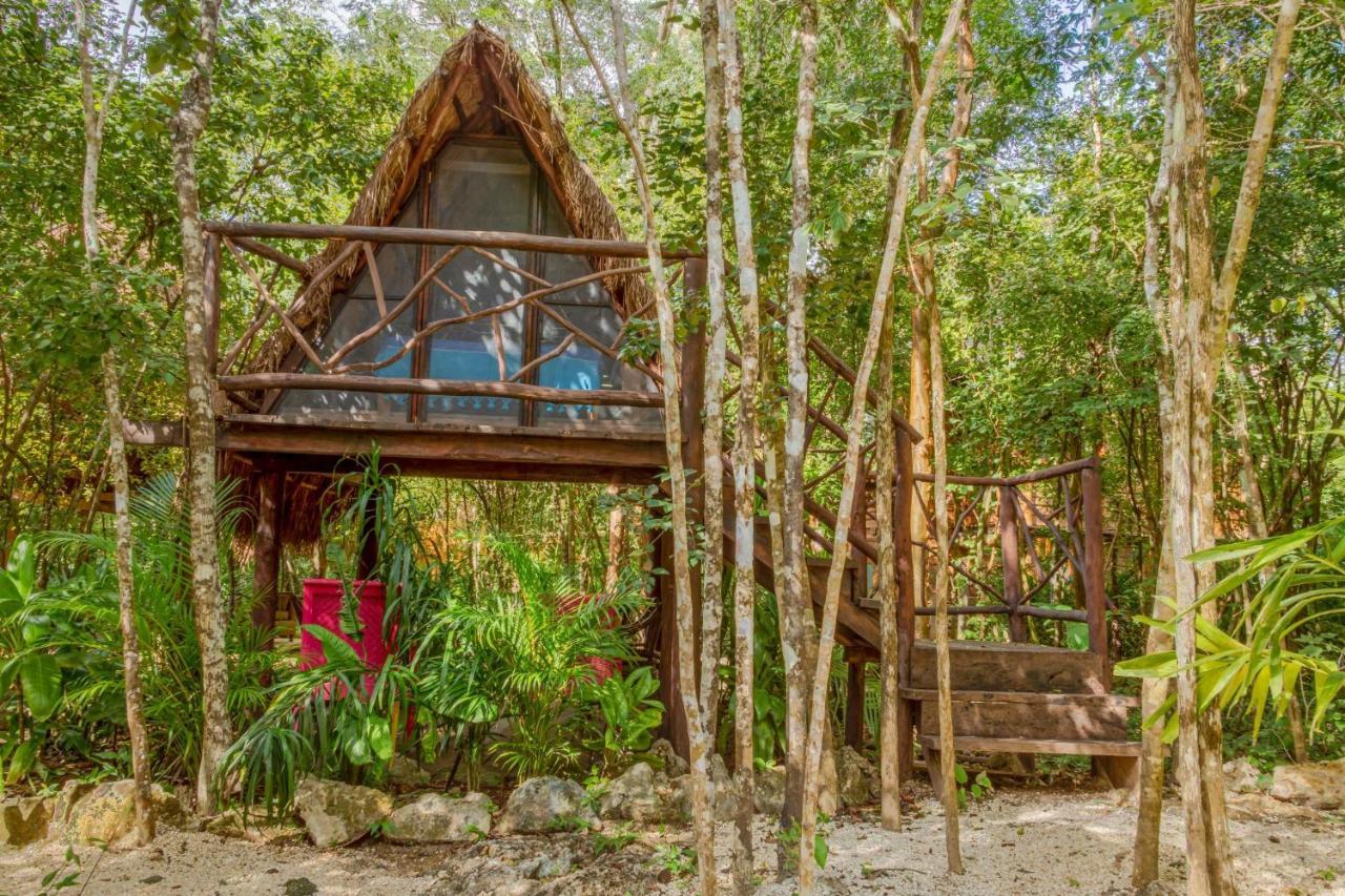 Penzion Madre Tierra Eco Habitat Puerto Morelos Exteriér fotografie