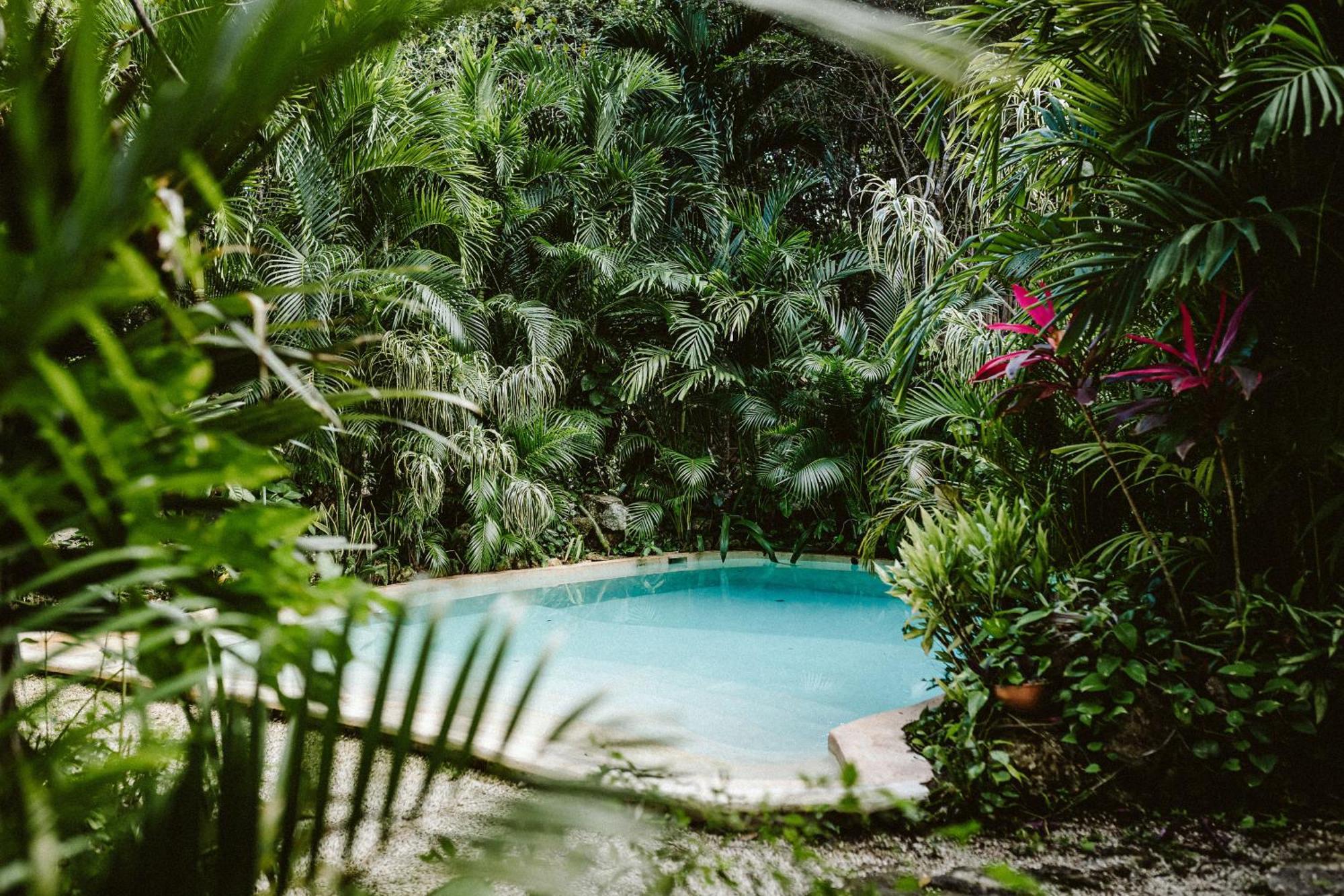 Penzion Madre Tierra Eco Habitat Puerto Morelos Exteriér fotografie
